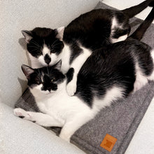 Load image into Gallery viewer, Day bed for small dogs / Travel mat - multiple colors