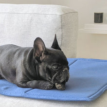 Load image into Gallery viewer, Dog day bed / Foldable travel mat for dogs