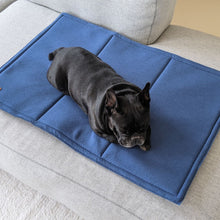 Load image into Gallery viewer, Dog day bed / Foldable travel mat for dogs