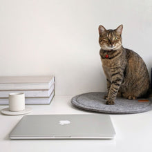 Load image into Gallery viewer, Round day bed for cats and small dogs