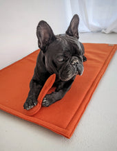 Load image into Gallery viewer, Molly & Cooper day bed - orange