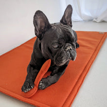 Load image into Gallery viewer, Molly & Cooper day bed for small dogs and cats in orange color
