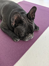 Load image into Gallery viewer, Roll-up dog travel mat