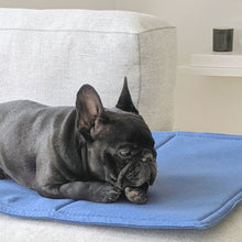 Load image into Gallery viewer, Dog day bed / Foldable travel mat for dogs
