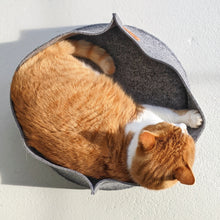 Load image into Gallery viewer, Molly &amp; Cooper felt cat nest - gray
